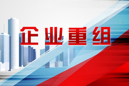 最全总结企业重组的多种方式